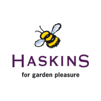 Haskins Logo